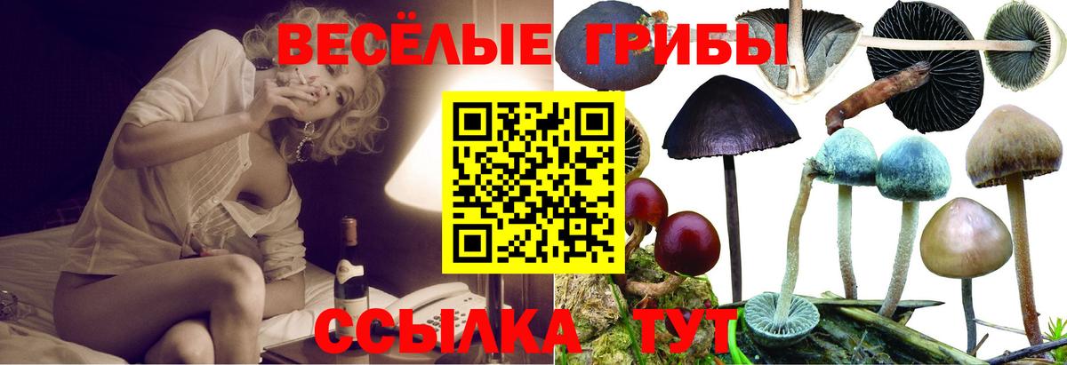 Псилоцибиновые грибы прущие грибы Долгопрудный